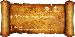 Mészáros Kenese névjegykártya
